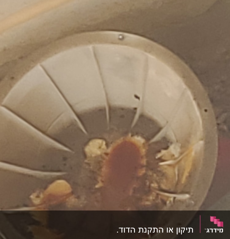 חלק פנימי של דוד שמש עם חלודה ולכלוך
